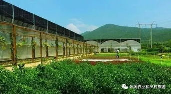 农村自建马场能否实现盈利？投资回报前景如何？