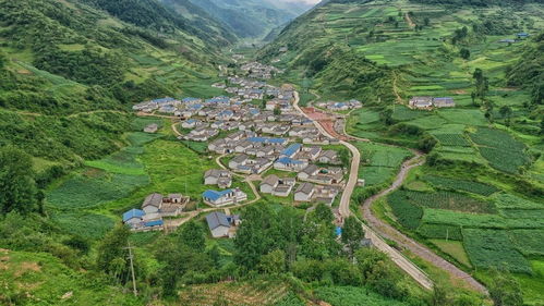 南康如何成为赚钱宝地？揭秘当地致富秘诀