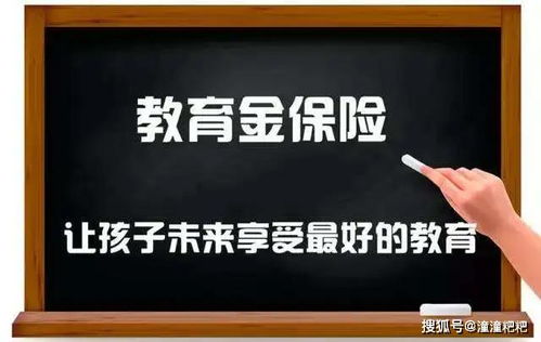 贺俊霖除了主业外，还涉足哪些副业领域？
