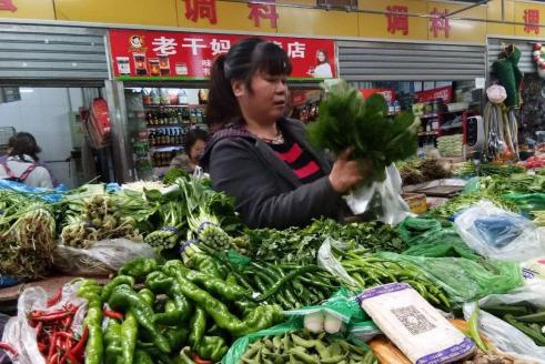 哪些自助卖菜平台能在东莞排名前十？探索本地人最爱的买菜新方式