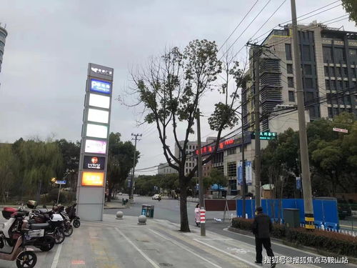 两万人齐力助拼多多，背后究竟有何魅力？
