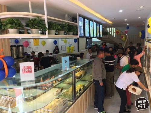想开设面包店，加盟流程是怎样的？有哪些关键步骤需要了解？