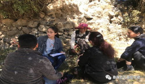 沙河中关铁矿的工人总数究竟是多少？深入了解这一神秘群体的规模！