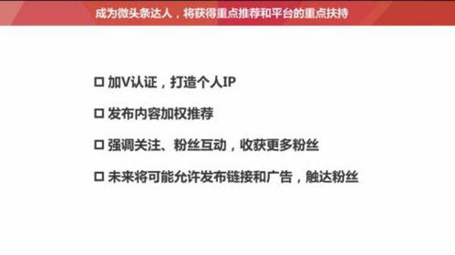 哪些三农项目能让你轻松赚钱？你知道这些致富机会吗？