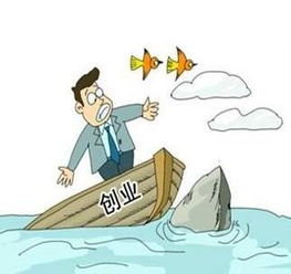 农村人创业选哪些项目能轻松赚钱？你了解吗？