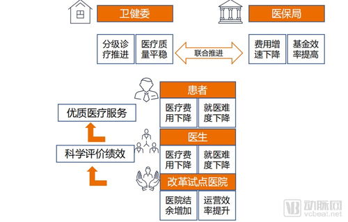 如何在亚马逊开展副业？代运营策略全解析