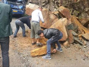东北农村有哪些赚钱的门路？你真的了解吗？
