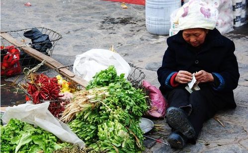 七十岁老人靠卖鹅蛋能挣多少钱？生活能否改善？