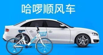专职顺风车司机能否实现稳定收入？赚钱效果如何？