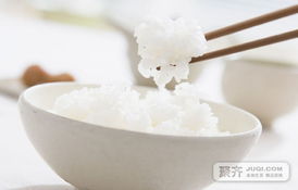 哪些网站是米饭自助团购的精选大全？带你探索最实惠的选择！