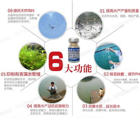 卖水产专用药能否带来可观利润？真相探讨