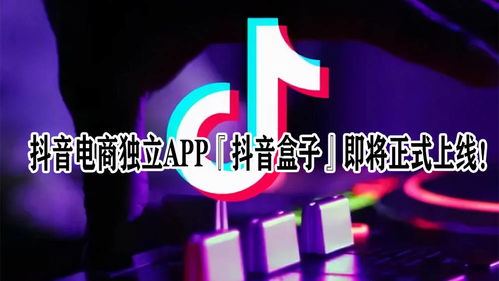 怎么找到高质量的抖音带货视频素材？素材网站和APP推荐在这里！