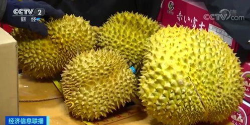 哪些网站提供榴莲自助进货服务，你知道吗？