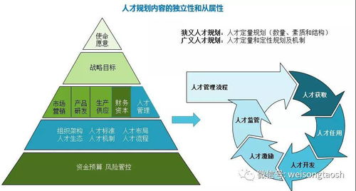 如何巧妙规划实现高效盈利？你掌握赚钱秘诀了吗？