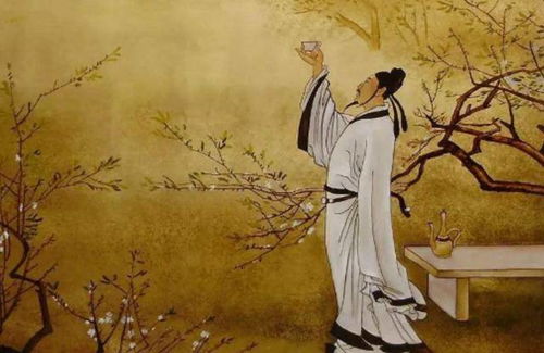 小二郎究竟何意？求解其背后含义