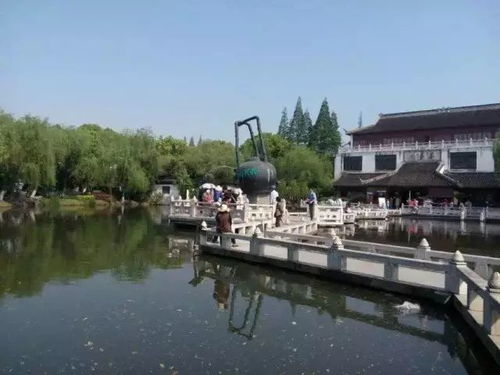 哪些自助团购平台是水乡游客的首选？深入解析水乡特色团购选项！