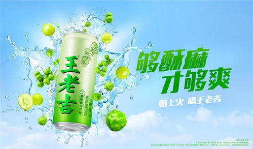 蓓趣联创有哪些独特优势与潜在不足？
