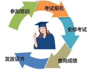 哪个物理专业能快速实现高薪回报？