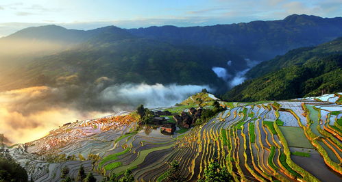 哪些是贵州自助游必看的旅游网站？精选推荐，助你规划完美旅程！