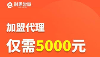 15年加盟零投入，真的能赚钱吗？揭秘成功秘诀！