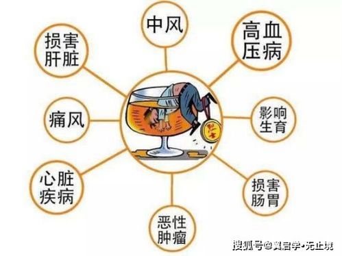 代喝酒副业真的能赚钱吗？揭秘背后的风险与收益