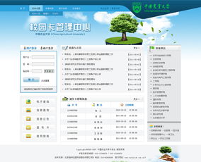 哪些网站是东莞自助店招聘的首选？这里有没有一份全面的招聘网站大全？