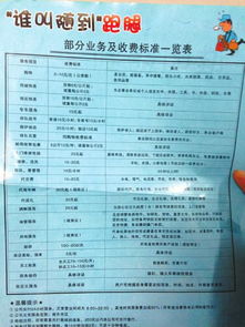 公司兼职跑腿工作是否达到合格标准？