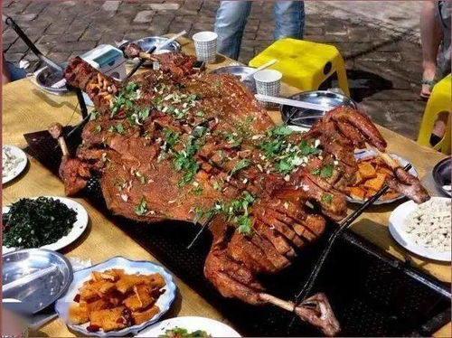 何处寻觅部落烹饪技艺，开启赚钱之旅？