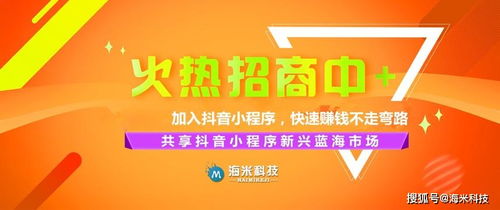 采源宝中哪些技巧能助你找到优质货源并高效卖货？