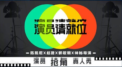 播音演员除了主业外，还涉足哪些副业领域？