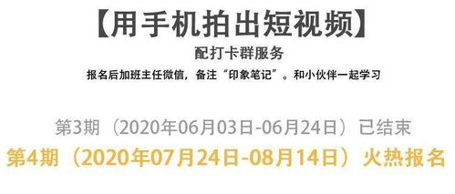知乎上的老师们，副业真的是他们的主要职业吗？
