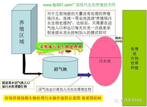低温环境下养殖哪些项目能盈利？