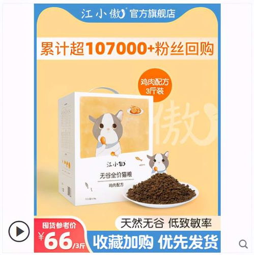 猫粮副业怎么选？靠谱推荐帮你轻松入门