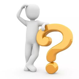 你知道哪些看似无用却有趣的冷知识副业吗？
