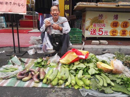 哪些是深圳地区值得一试的自助卖菜网站推荐？