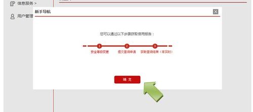 如何准确找到并登录征信官方网站的正确通道？有哪些步骤需要注意？