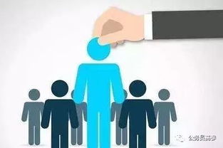 材料研发人员如何兼顾副业？是否可行？