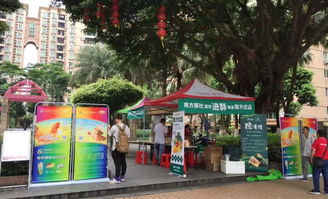 哪些自助团购平台在梅城表现优异？探索当地热门选择！