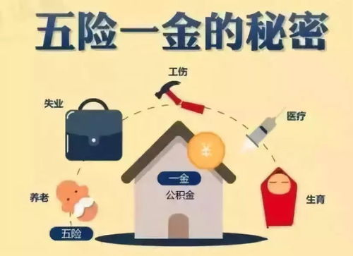 辞职后五险一金如何妥善处理？最佳处理方案是什么？