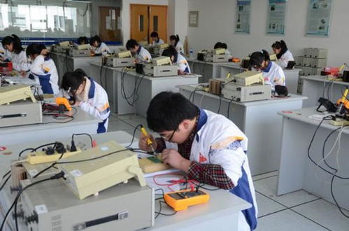 如何利用电子电气工程专业技能开启高收益副业？