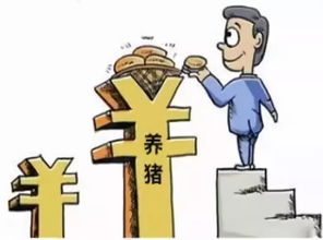 女生适合投资的农业股票副业有哪些选择？