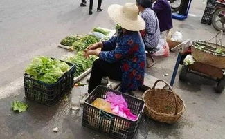 在副业小区门口摆摊经营，是否属于合法行为？