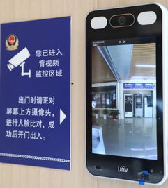 哪些自助直播平台能够全年无休，提供四季不断的直播体验？