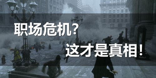 最美副业是否遭遇崩盘危机？真相令人关注