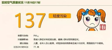 上海广域装饰口碑怎样？知乎用户评价能揭示其真实服务质量吗？