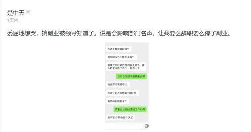 程序员如何利用副业轻松薅羊毛？每月多赚的秘密你知道吗？