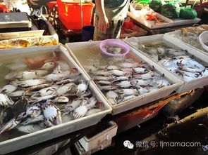 在天津如何找到优质的海鲜自助进货平台？