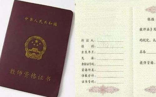 想成为幼师？必备哪些资格证书你知道吗？