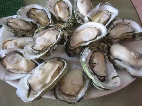 大生蚝自助团购，哪个平台能让吃货们畅享无限美味？
