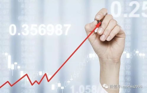 打石头人真的能赚钱吗？揭秘这个热门项目的盈利真相